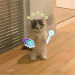 Beomboba