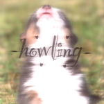 howIing