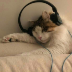 |Music luvs!|