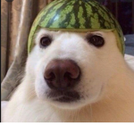 The_MelonHead_Official