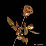 The Golden Rose Mafia