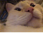 Le croissant