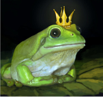 King. .frogs