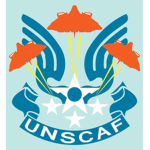 || UNSC 37th strike unit || UNSC AF