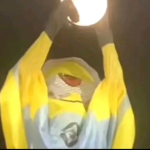 Coolfazezavion