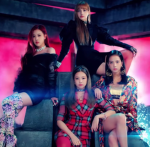 BLACKPINK’s fan