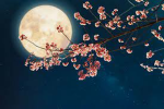 EternalNight ( Devs )