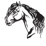 ~+ The Soaring Friesians +~