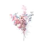 Cutiesplop