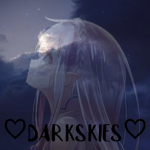 darkskies homestore