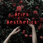 Aries Aesthetics