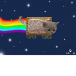 Team NyanCat
