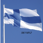 Team Finland!