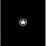 Aer Canada | Your World Awaits