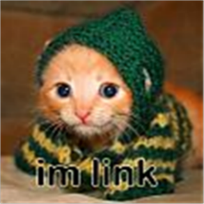 Link the Cat Roblox decal