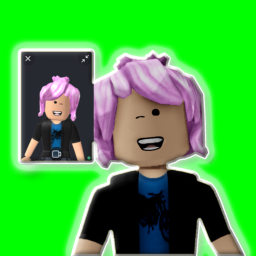 Test Your Facecam