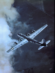 Ww2 bird group