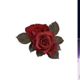 ✧༺🌹༻✧