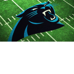 The panthers nation