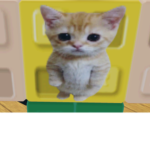 Catty cutie