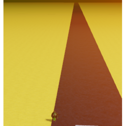 The longest of walks