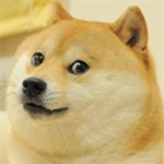 Doge Legends Club