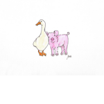 Quack Family