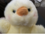 lil chick c: