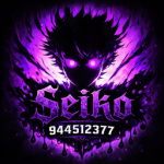 Seiko 聖光