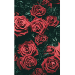 rosesfangroup