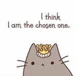 Pusheen is the chosen one