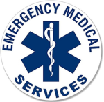 MEDICAL SERVICES GROUP