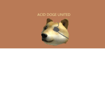 Acid Doge United