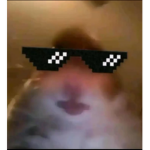 Hamster CuIt