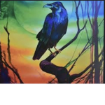 The rainbow crow