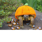 Reptiles Rise Up
