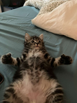 julianmybsf !