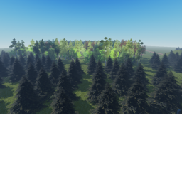 Forest Of Exploration