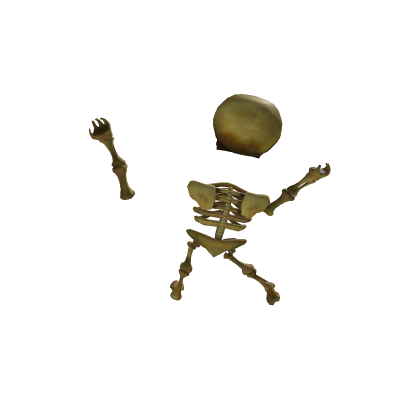Skeleton