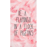 Sofia’s Flamingo Squad!