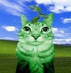 Meme and Vine club