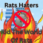 Rats haters