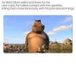 Motomoto Likes You