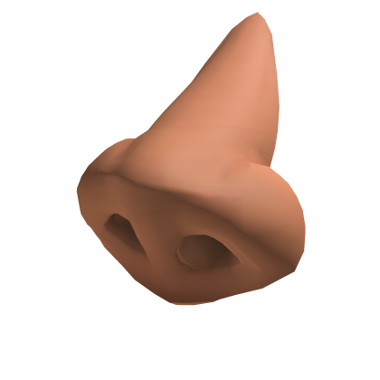 A Nose - Roblox