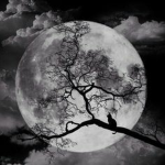xzMoonマ