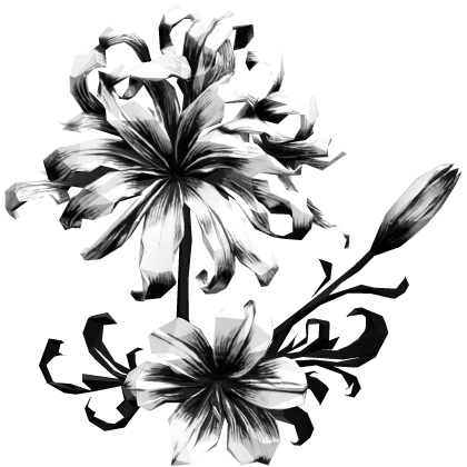 ヒガンバナ bright white spider lily hair flow