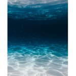 •crystal seas•