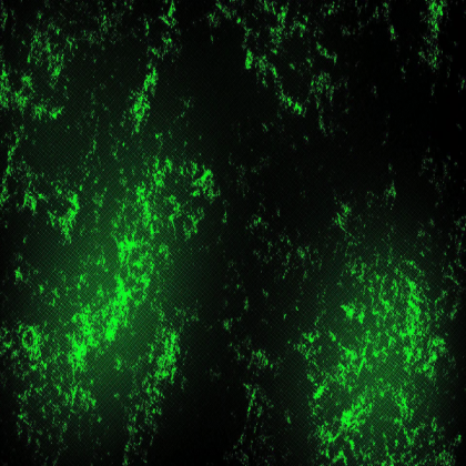 Green texture Roblox decal