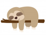 The sloth's club