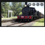 Steam trains transport heritage expo
